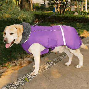 Colete Inverno Impermeável - Duty™ | Exclusivo da ForPatas