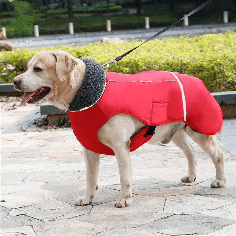 Colete Inverno Impermeável - Duty™ | Exclusivo da ForPatas