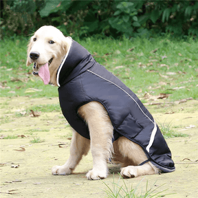 Colete Inverno Impermeável - Duty™ | Exclusivo da ForPatas