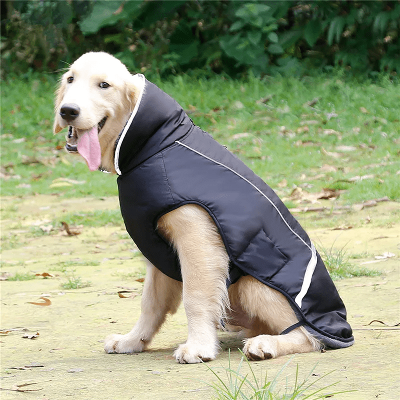 Colete Inverno Impermeável - Duty™ | Exclusivo da ForPatas