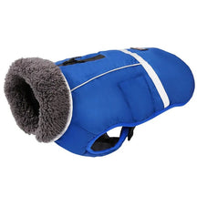 Colete Inverno Impermeável - Duty™ | Exclusivo da ForPatas