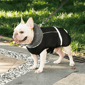 Colete Inverno Impermeável - Duty™ | Exclusivo da ForPatas