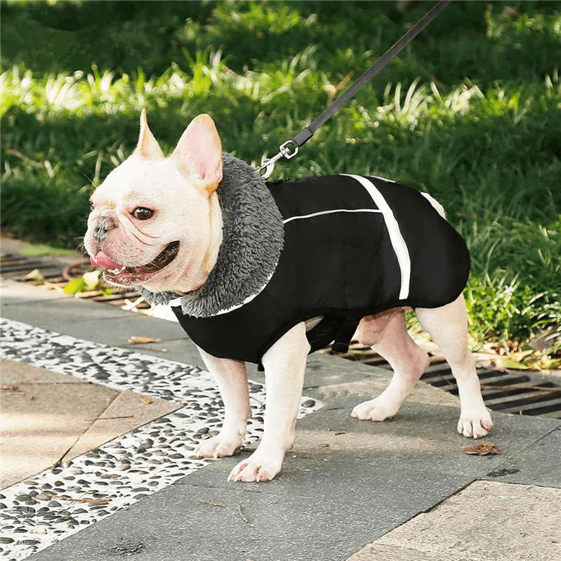 Colete Inverno Impermeável - Duty™ | Exclusivo da ForPatas