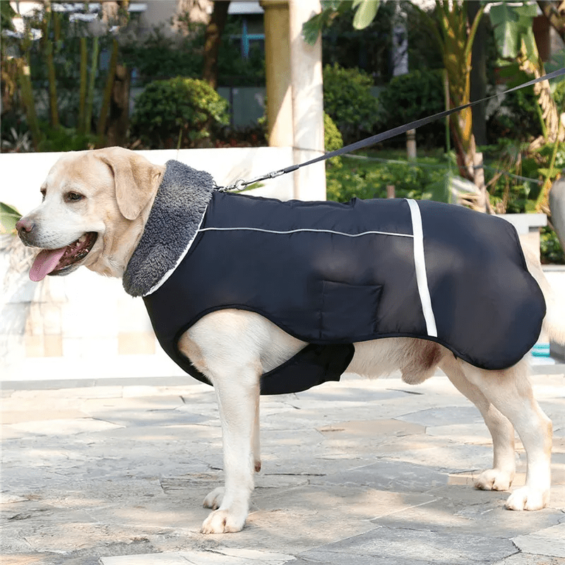 Colete Inverno Impermeável - Duty™ | Exclusivo da ForPatas