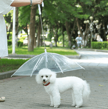 Guia com Guarda - chuva Tour - Barkify™ | Exclusivo da ForPatas