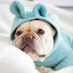 Macacão - Barkify™ | Exclusivo da ForPatas