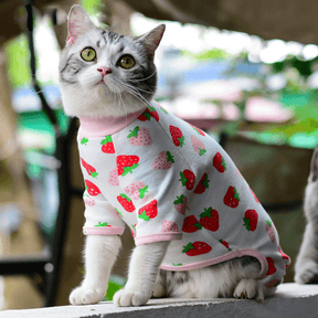 Macacão Cat - Snouty™ | Exclusivo da ForPatas