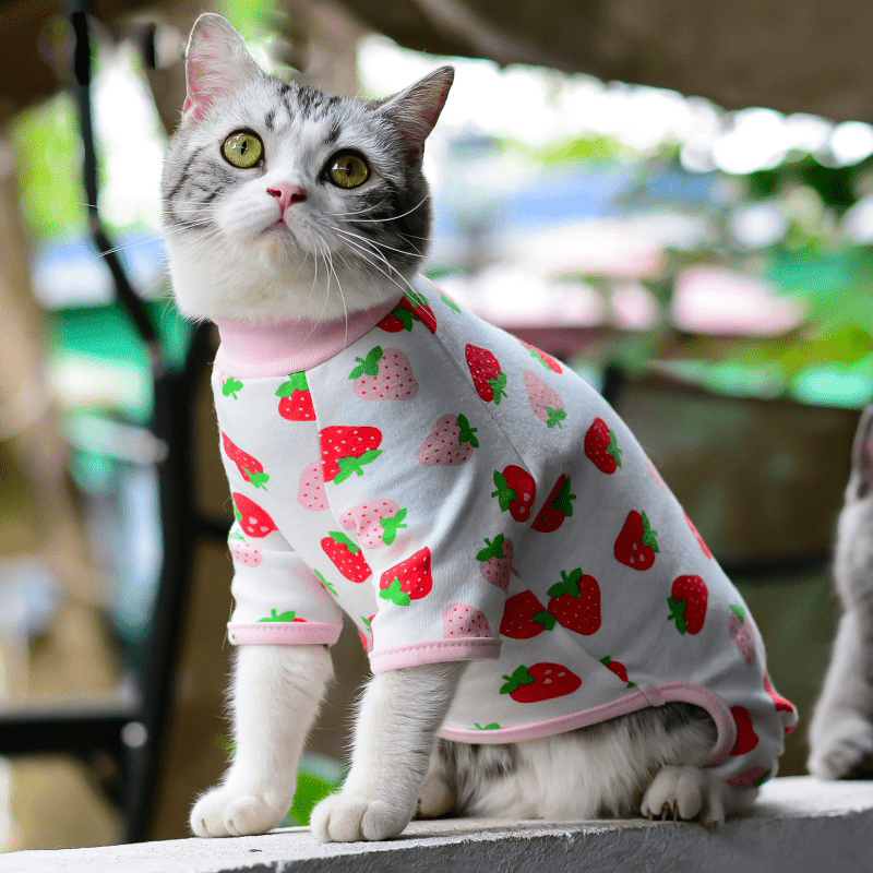 Macacão Cat - Snouty™ | Exclusivo da ForPatas