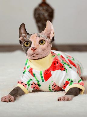 Macacão Cat - Snouty™ | Exclusivo da ForPatas