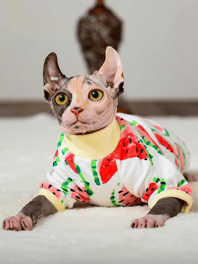 Macacão Cat - Snouty™ | Exclusivo da ForPatas