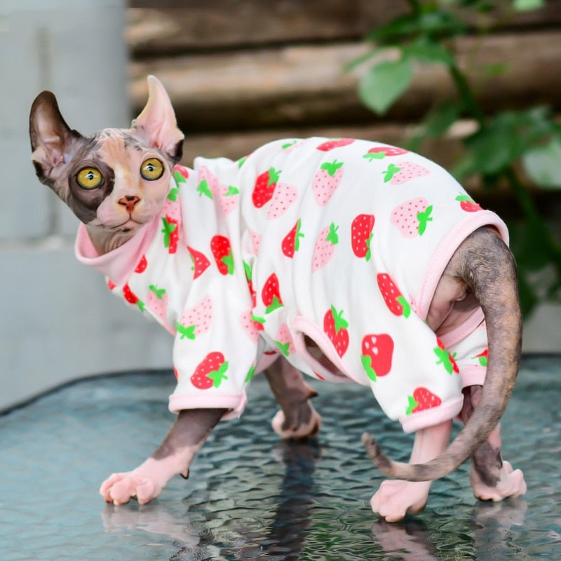Macacão Cat - Snouty™ | Exclusivo da ForPatas