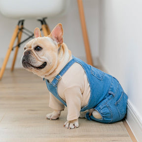 Macacão Jeans - Snouty™ | Exclusivo da ForPatas
