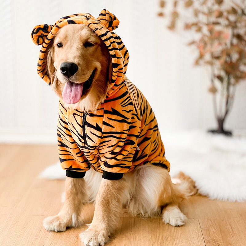 Moletom Fofo Adventure - Pawzly™ | Exclusivo da ForPatas