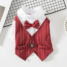 Roupa Estilo Terno Elegante Para Pet - Barkify™ | Exclusivo da ForPatas