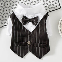 Roupa Estilo Terno Elegante Para Pet - Barkify™ | Exclusivo da ForPatas