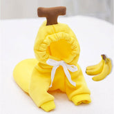Roupa para Cachorro - Pawzly™ | Exclusivo da ForPatas