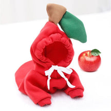 Roupa para Cachorro - Pawzly™ | Exclusivo da ForPatas
