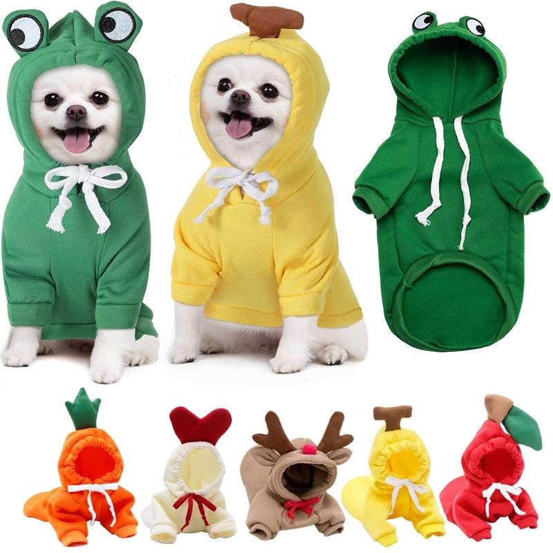 Roupa para Cachorro - Pawzly™ | Exclusivo da ForPatas