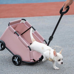 Carrinho Passeio Dobrável Compacto até 7kg com Cinto e Ventilação para Cachorro e Gato Home In™