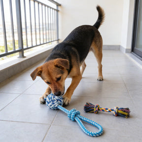 Brinquedo para Cachorro Kit 22 Peças Anti Ansiedade com Mordedores, Cordas e Bolas PlayBark™