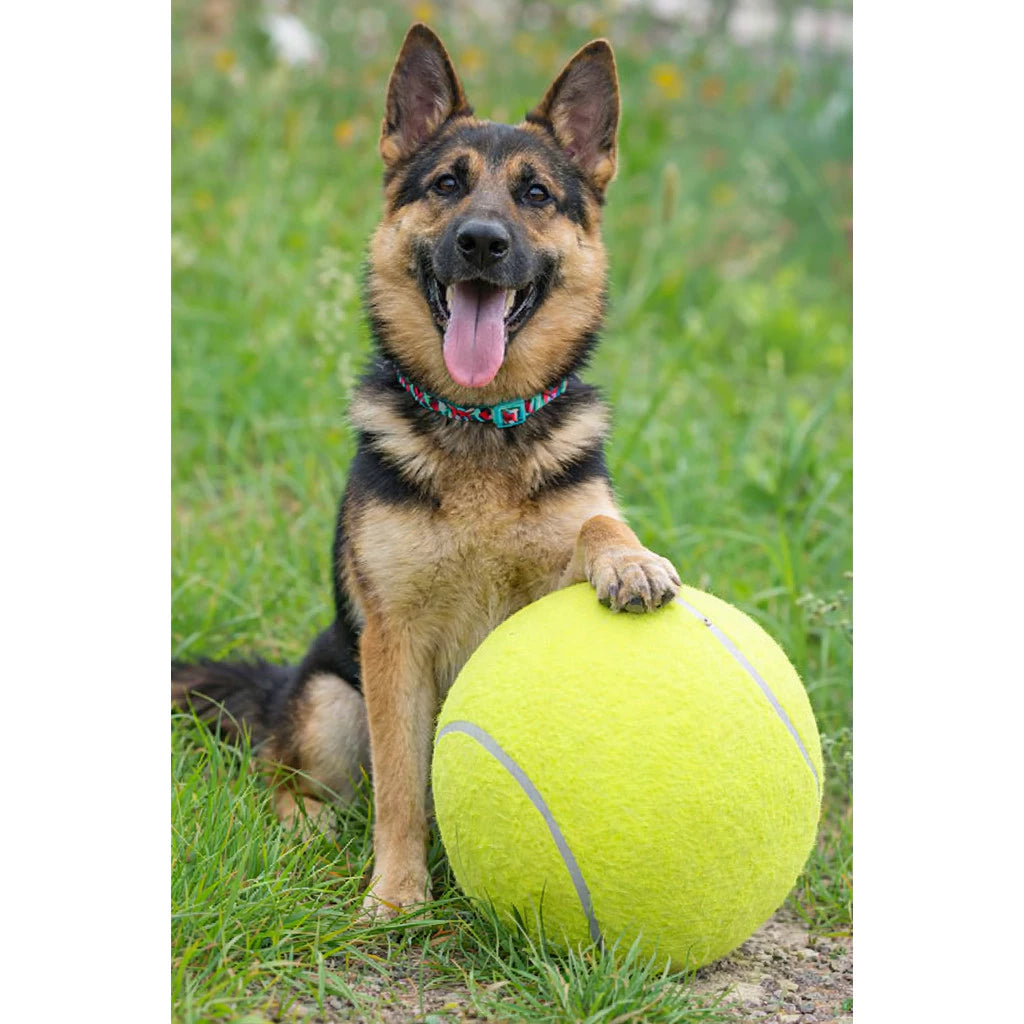 Bola Gigante 24cm Resistente para Cachorro Brinquedo de Tênis para Cães Médios e Grandes Bouncy™ - Bola Gigante 24cm