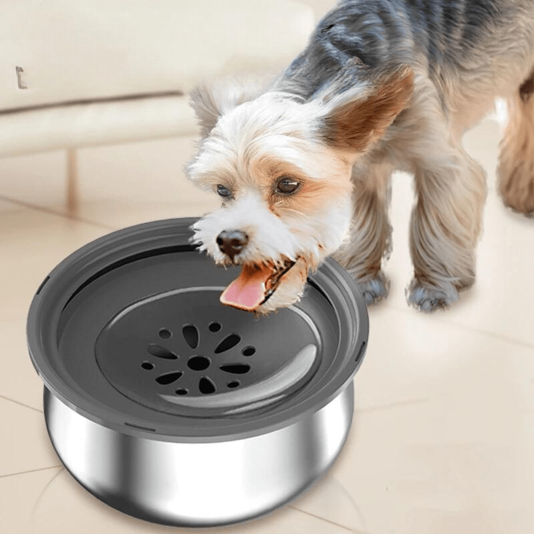 Tigela Anti - respingo Inox 4L - Lupzy™ | Exclusivo da ForPatas