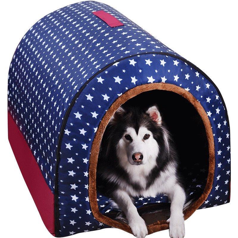 Toca Pet Bigui - Petzo™ | Exclusivo da ForPatas