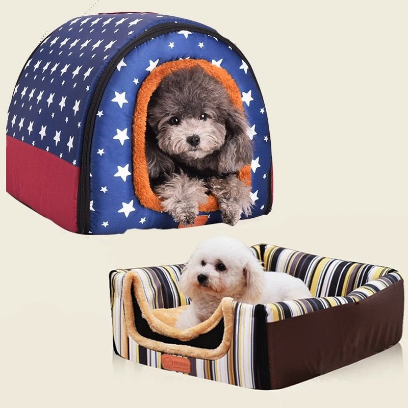 Toca Pet Bigui - Petzo™ | Exclusivo da ForPatas